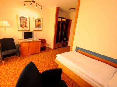 Hotel Eroplan Rožnov pod Radhoštěm Eksteriør billede